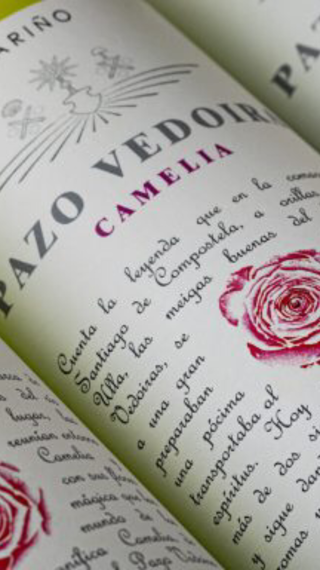 Pazo Vedeira Camelia 2023